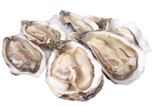 Ierse oesters uit Galway voor ZZ5 schaal- en schelpdieren